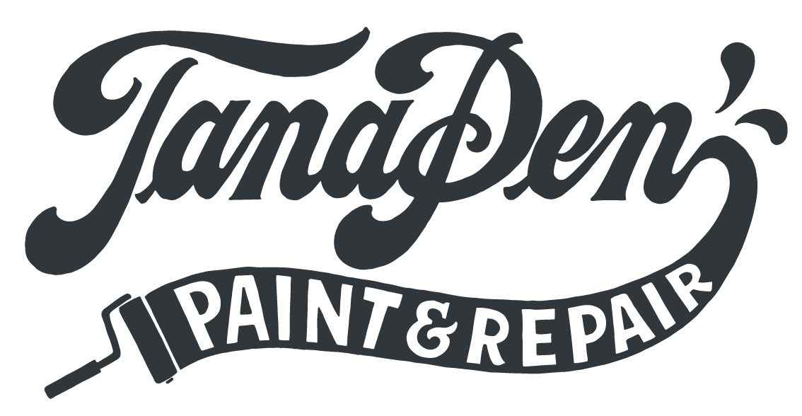 TanaPen Paint & Repair